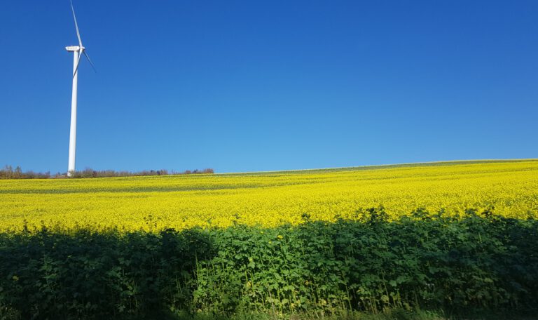 Faktencheck Windkraft – Antworten auf häufige Bedenken